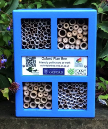 bee box