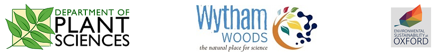 logo banner new