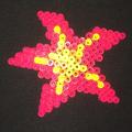 flower4small520