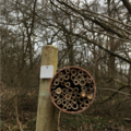 Bee box 